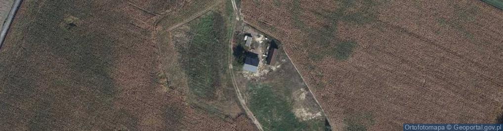 Zdjęcie satelitarne Grzęby ul.