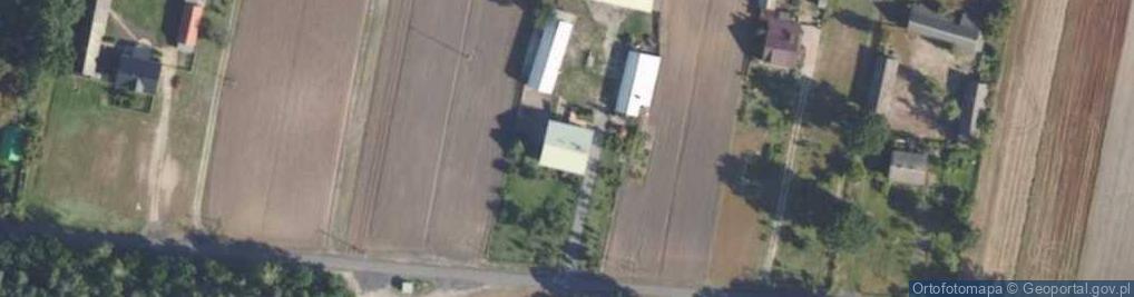 Zdjęcie satelitarne Grzyb ul.