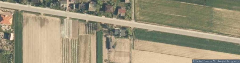 Zdjęcie satelitarne Grzybki ul.
