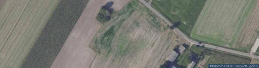 Zdjęcie satelitarne Grzybków ul.
