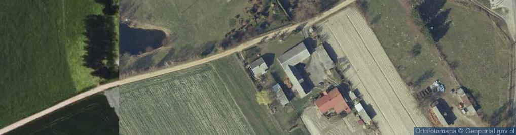 Zdjęcie satelitarne Grzybowo ul.