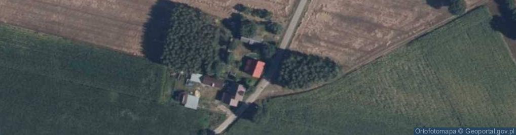 Zdjęcie satelitarne Grzybowo ul.