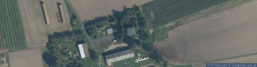Zdjęcie satelitarne Grzymisław ul.