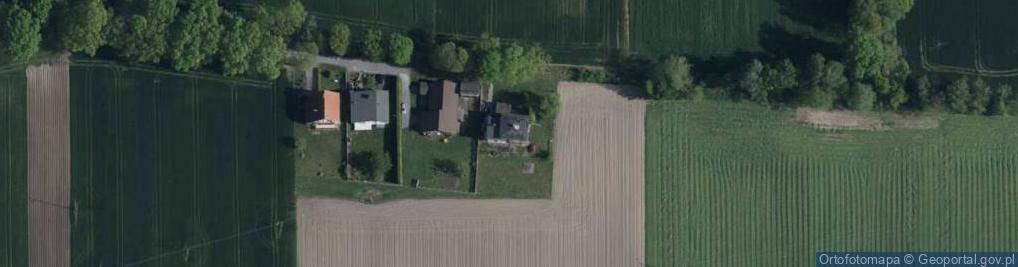 Zdjęcie satelitarne Grzybowa ul.