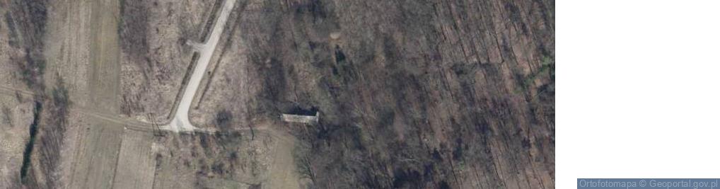 Zdjęcie satelitarne Grzybowa ul.