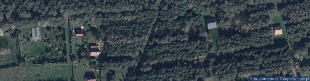 Zdjęcie satelitarne Grzybowa ul.