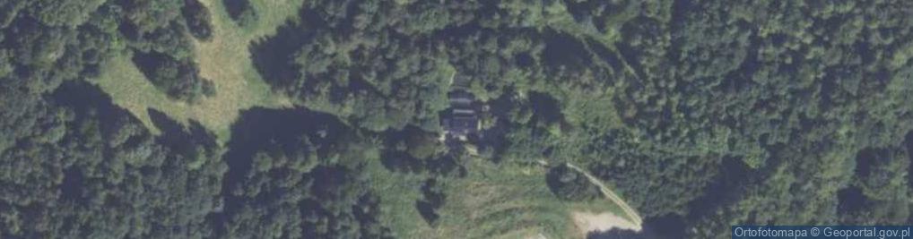 Zdjęcie satelitarne Grzybowa ul.