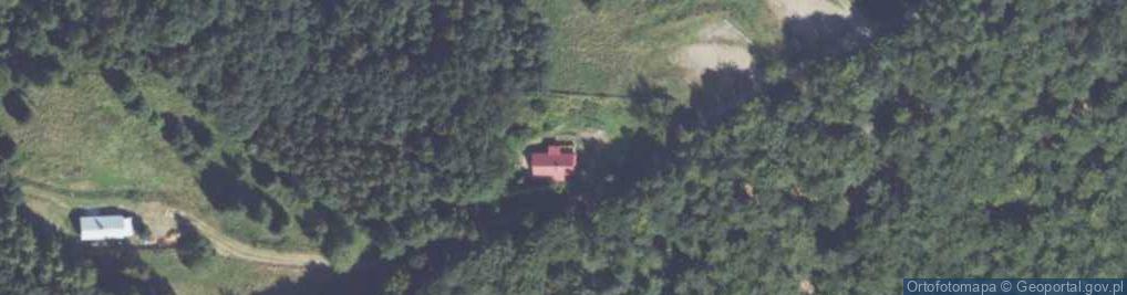 Zdjęcie satelitarne Grzybowa ul.