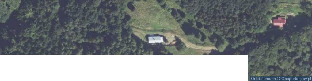 Zdjęcie satelitarne Grzybowa ul.