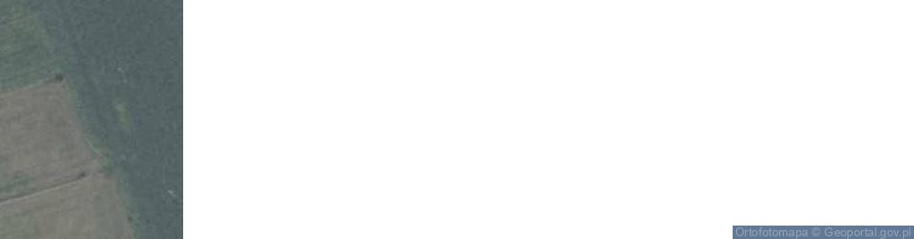 Zdjęcie satelitarne Grunwaldzka ul.