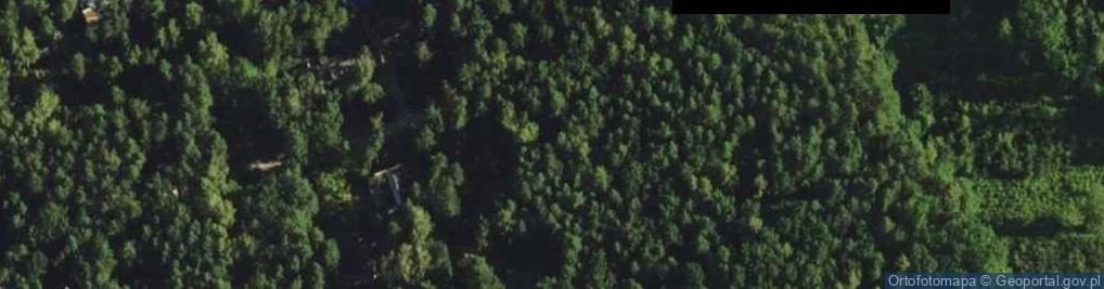 Zdjęcie satelitarne Grających Świerszczy ul.