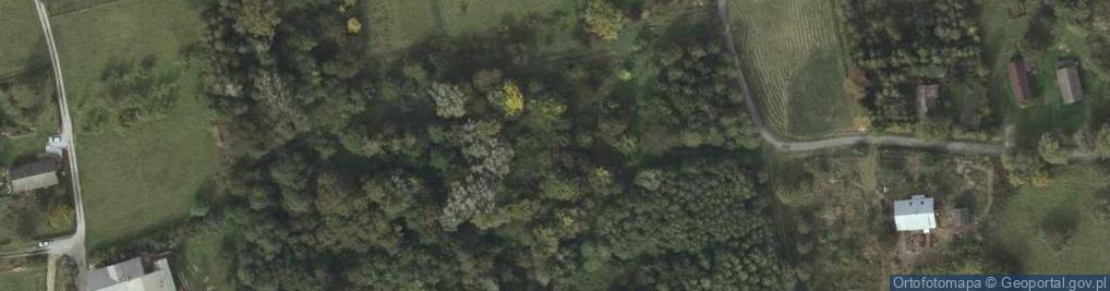 Zdjęcie satelitarne Hadle Kańczuckie ul.