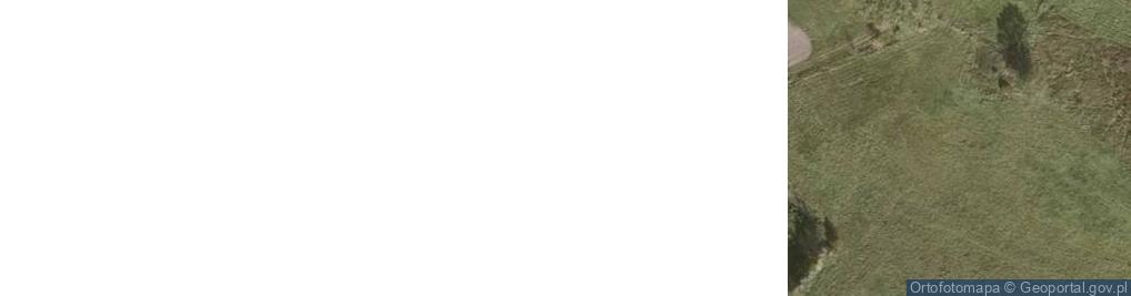 Zdjęcie satelitarne Henryków Lubański ul.