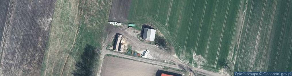 Zdjęcie satelitarne Hołowno ul.