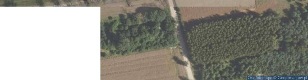Zdjęcie satelitarne Hryniewicze Małe ul.