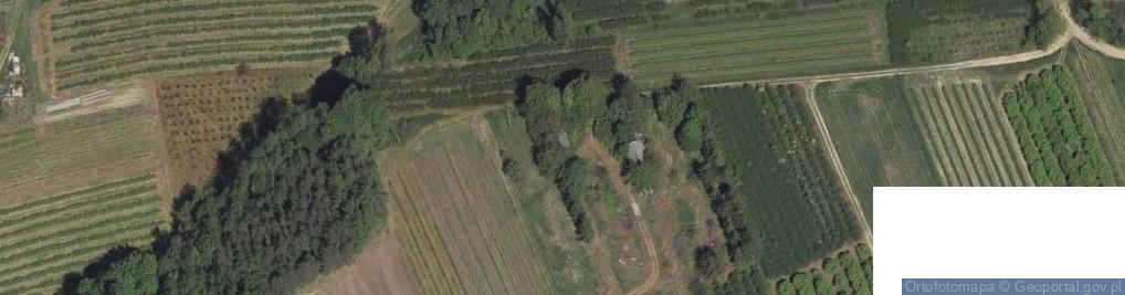 Zdjęcie satelitarne Izdebno-Kolonia ul.