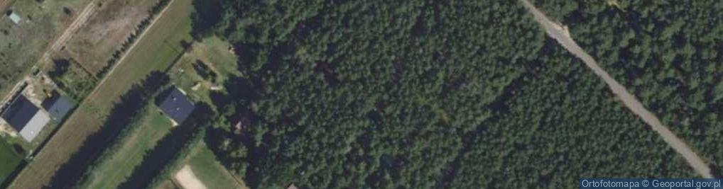 Zdjęcie satelitarne Jagodziniec ul.