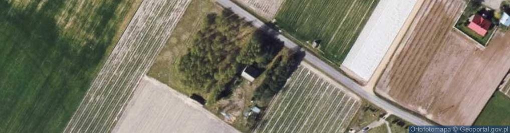 Zdjęcie satelitarne Januszewo ul.