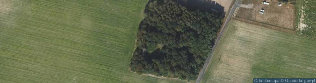 Zdjęcie satelitarne Jarantowice ul.