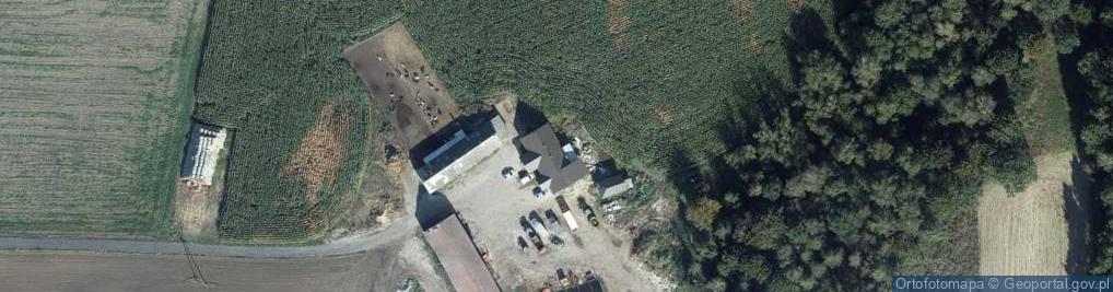 Zdjęcie satelitarne Jaszczółtowo ul.