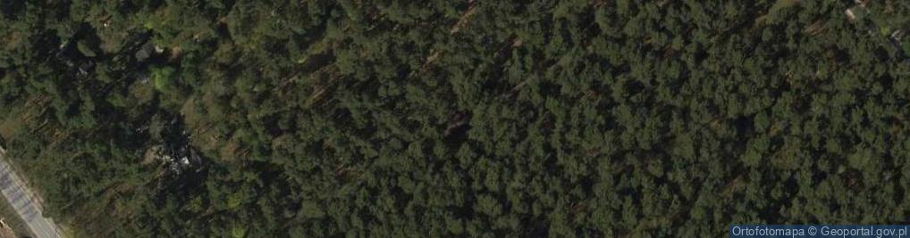 Zdjęcie satelitarne Japońska ul.
