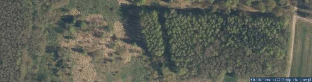 Zdjęcie satelitarne Jagienki ul.