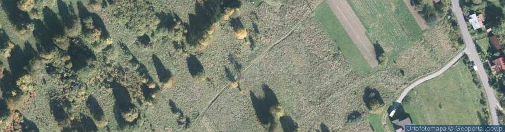 Zdjęcie satelitarne Jabłeczna ul.