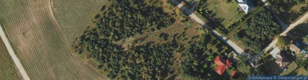 Zdjęcie satelitarne Jeżynowa ul.