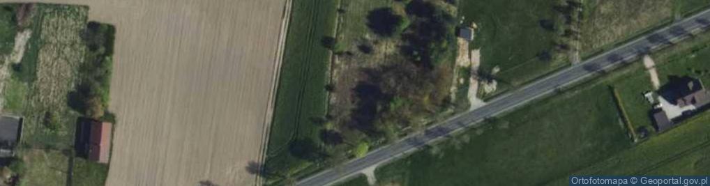 Zdjęcie satelitarne Jedlno Pierwsze ul.