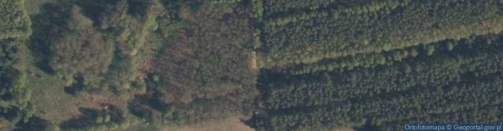 Zdjęcie satelitarne Jesionna ul.