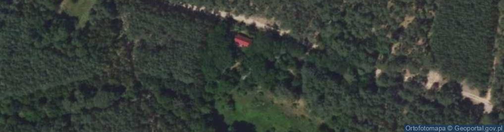 Zdjęcie satelitarne Jeżewo ul.