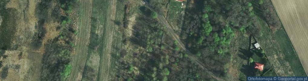 Zdjęcie satelitarne Jesionka ul.