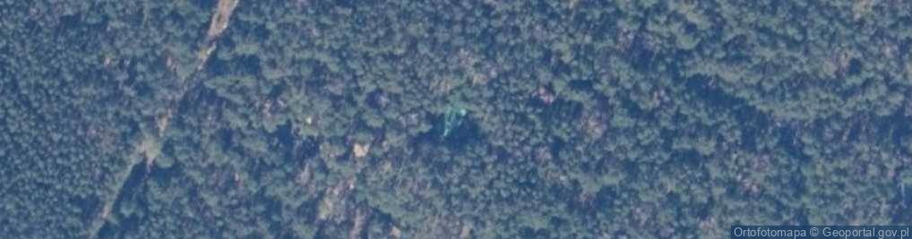 Zdjęcie satelitarne Jelenich Rogów ul.