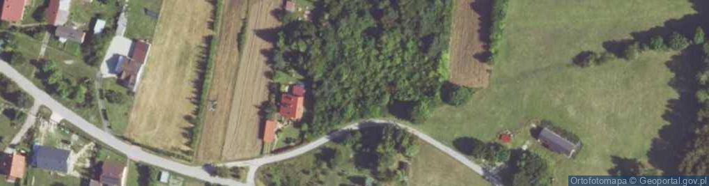 Zdjęcie satelitarne Jodłowa ul.