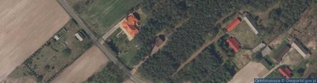 Zdjęcie satelitarne Józefów Widawski ul.