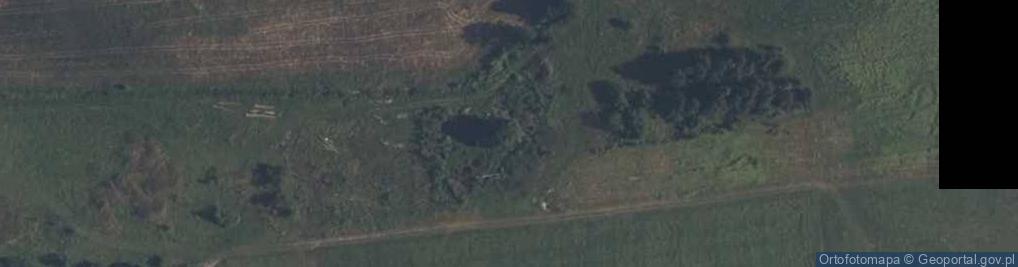 Zdjęcie satelitarne Justynówka ul.