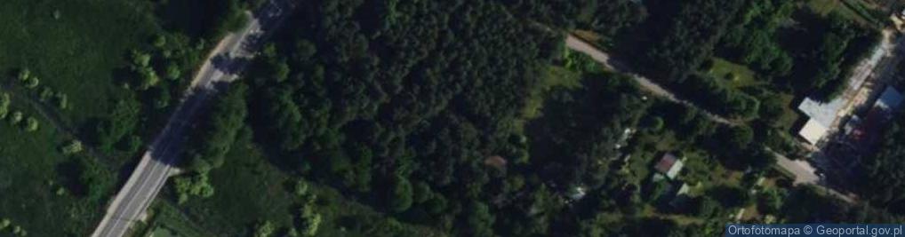 Zdjęcie satelitarne Julianów Lesiewski ul.