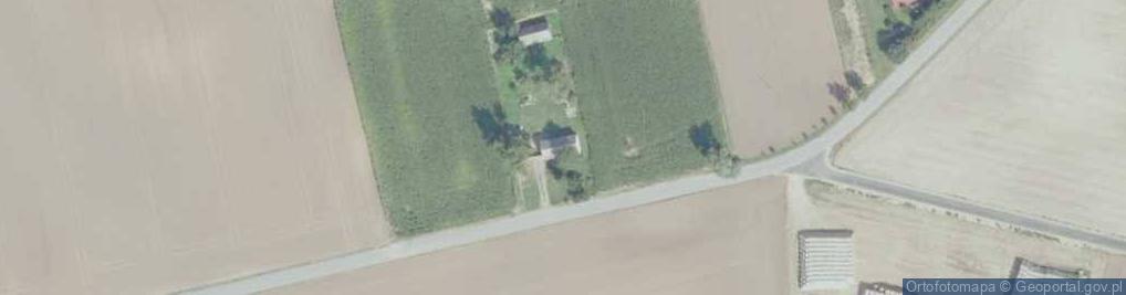 Zdjęcie satelitarne Kaliszany ul.