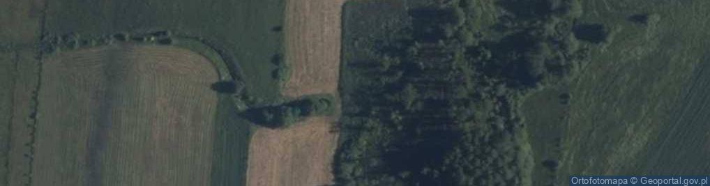 Zdjęcie satelitarne Karbowskie ul.