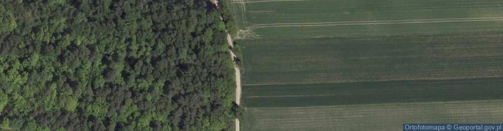 Zdjęcie satelitarne Kaźmierów ul.