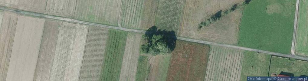 Zdjęcie satelitarne Kaznów-Kolonia ul.