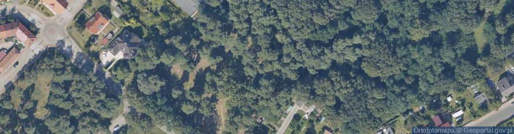 Zdjęcie satelitarne Kaczkowskiego ul.
