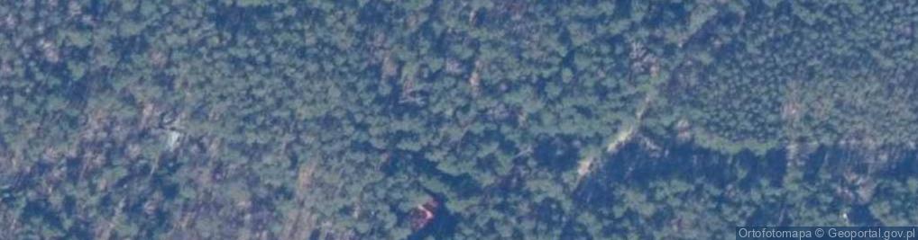 Zdjęcie satelitarne Kaczora Donalda ul.