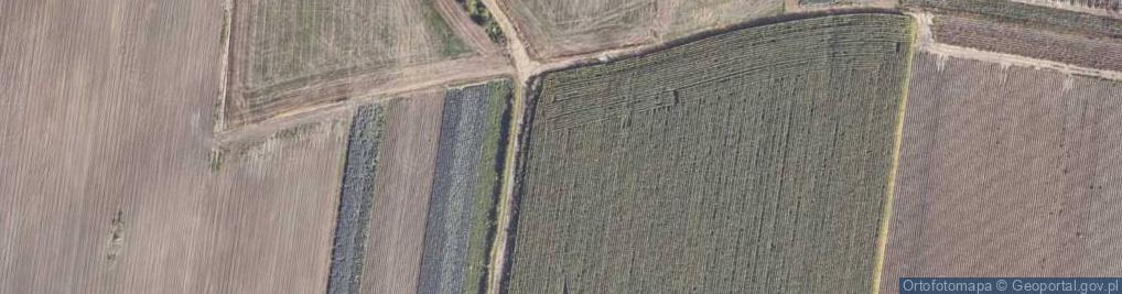 Zdjęcie satelitarne Kapucka ul.