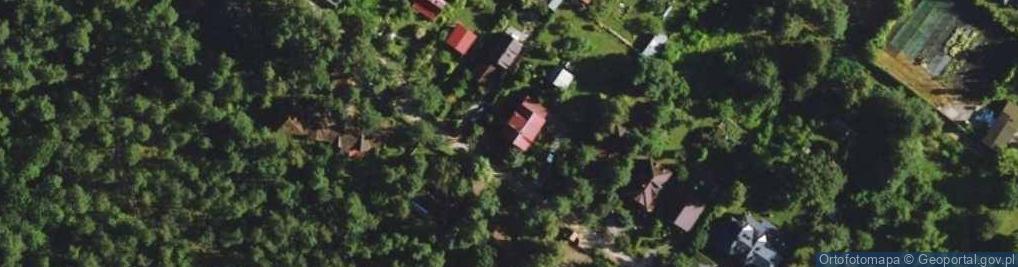 Zdjęcie satelitarne Karłowatej Sosny ul.