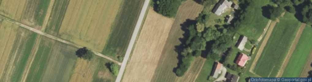 Zdjęcie satelitarne Kasztanowa ul.