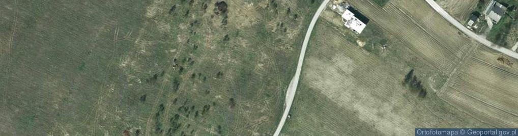 Zdjęcie satelitarne Kaliski ul.