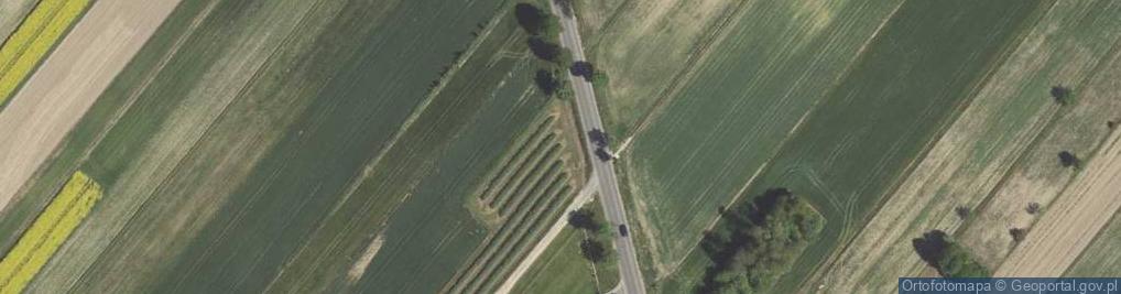 Zdjęcie satelitarne Kępa Borzechowska ul.