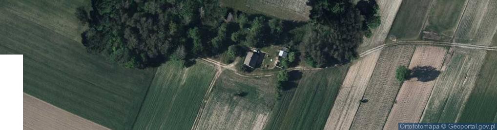 Zdjęcie satelitarne Kierzków ul.