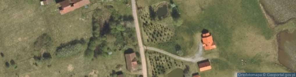 Zdjęcie satelitarne Kiwajny ul.